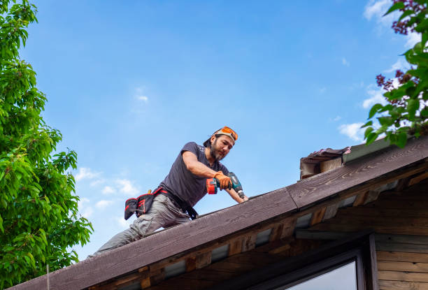 Best Skylight Installation and Repair  in Sandersville, GA